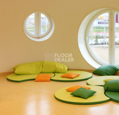 Forbo Marmoleum Decibel on Order 384635 natural corn фото 2 | FLOORDEALER